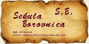 Sekula Borovnica vizit kartica